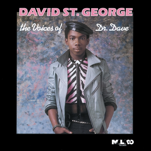 DAVID ST GEORGE / VOICES OF DR.DAVE / ヴォイセズ・オブ・ドクター・デイヴ