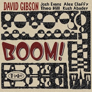 DAVID GIBSON / デビッド・ギブソン / Boom!