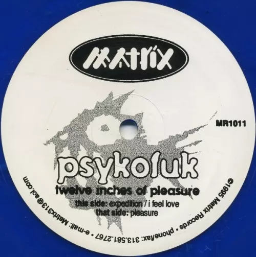 PSYKOFUK / TWELVE INCHES OF PLEASURE