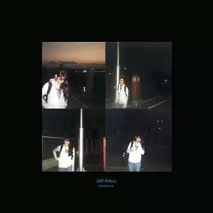 shotahirama / 平間翔太 / Stiff Kittens