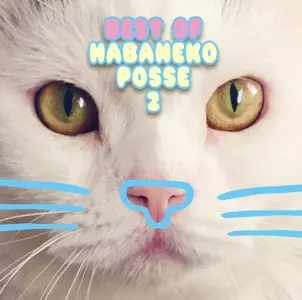 オムニバス(曽我部恵一、CHERRYBOY FUNCTION 他) / ベスト オブ ハバねこポッセ 2