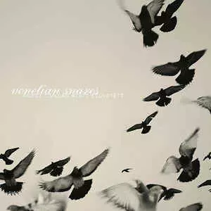 VENETIAN SNARES / ヴェネチアン・スネアズ / ROSSZ CSILLAG ALATT SZULETETT
