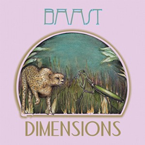 BAAST / Dimensions(LP)