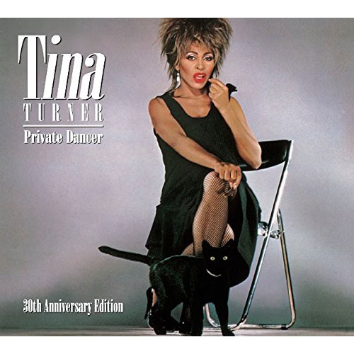 TINA TURNER / ティナ・ターナー / PRIVATE DANCER [30TH ANNIVERSARY EDITION]  / プライヴェート・ダンサー<30thアニヴァーサリー・エディション>