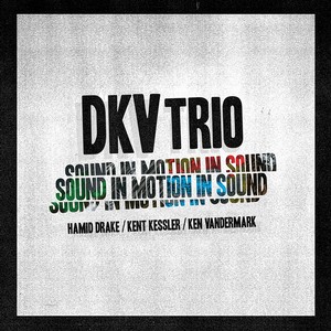 DKV TRIO / Sound In Motion In Sound(5CD)