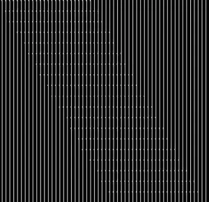 NISENNENMONDAI / にせんねんもんだい / N'