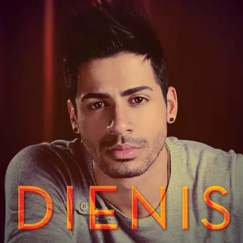 DIENIS / ヂエニス / DIENIS