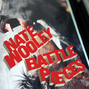 NATE WOOLEY / ネイト・ウーリー / Battle Pieces
