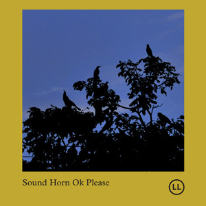 SOUND HORN OK PLEASE / サウンド・ホーン・オーケー・プリーズ / Sound Horn Ok Please(LP)