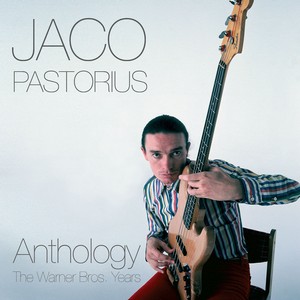 JACO PASTORIUS / ジャコ・パストリアス / Anthology: The Warner Bros Year(LP/180g)