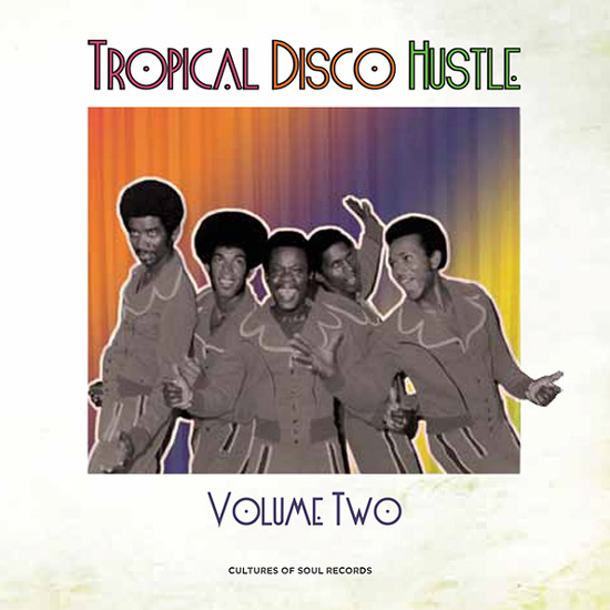 V.A. (TROPICAL DISCO HUSTLE) / TROPICAL DISCO HUSTLE VOLUME 2