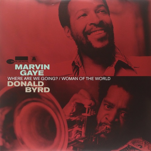 MARVIN GAYE / DONALD BYRD / マーヴィン・ゲイ / ドナルド・バード / WHERE ARE WE GOING? / WOMAN OF THE WORLD (12")