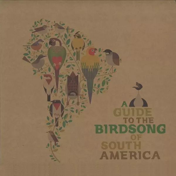 V.A. (A GUIDE TO THE BIRDSONG) / オムニバス / A GUIDE TO THE BIRDSONG OF SOUTH AMERICA