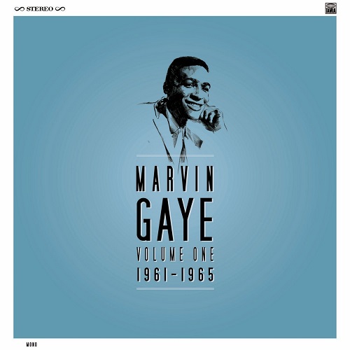 Marvin Gaye 1961 - 1965 LP Box マーヴィン・ゲイスタボーンカインドオブフェロウ