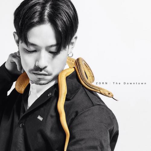 The Downtown/ZORN (EX. ZONE THE DARKNESS)｜HIPHOP/R&B｜ディスク ...
