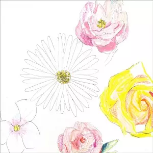 尾崎友直 / メネ, メネ, テケル, ウ パルシン