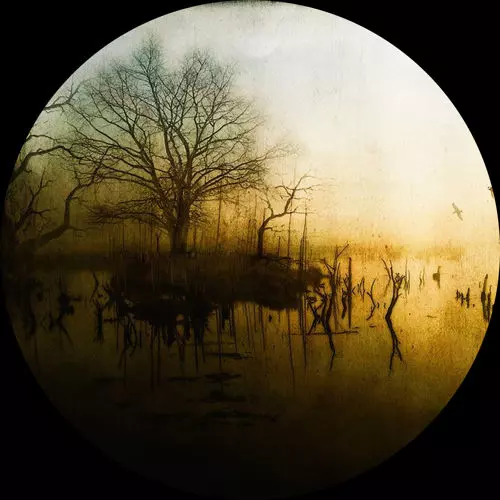 KNOBS / TRANSCEND LP