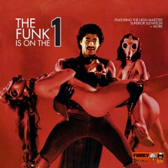 V.A. (FUNK IS ON THE ONE) / オムニバス / FUNK IS ON THE ONE (LP)