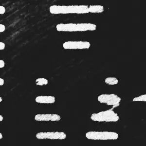 V.A. / MDR COMPILATION