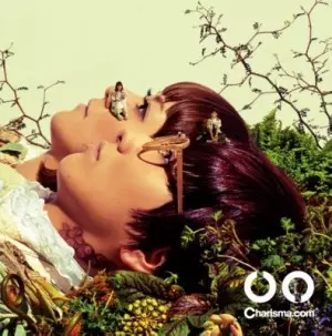 イイナヅケブルー(アナログ)/Charisma.com｜日本のロック｜ディスク