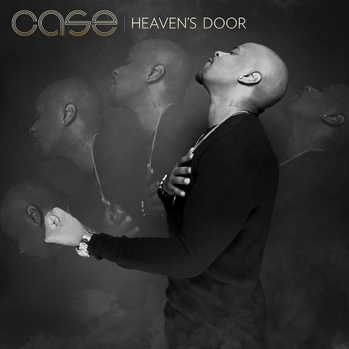 CASE / ケース / HEAVEN'S DOOR