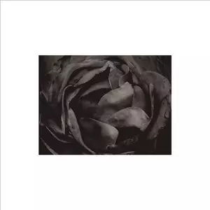 CIO D'OR / ALL IN ALL