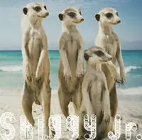 Shiggy Jr. / シギー・ジュニア / サマータイムラブ       