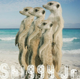 Shiggy Jr. / シギー・ジュニア / サマータイムラブ(初回限定盤)   