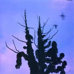 あぶらだこ 木盤 LP 木盤/あぶらだこ｜日本のロック｜ディスクユニオン・オンライン