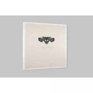 DASHA RUSH / ダーシャ・ラッシュ / SLEEPSTEP