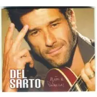 DANIEL DEL SARTO / ダニエル・デル・サルト / MAOS E PALAVRAS