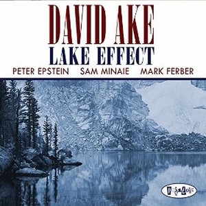 DAVID AKE / デヴィッド・アイク / Lake Effect