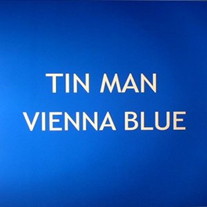 TIN MAN / ティン・マン (ACID TEST) / VIENNA BLUE
