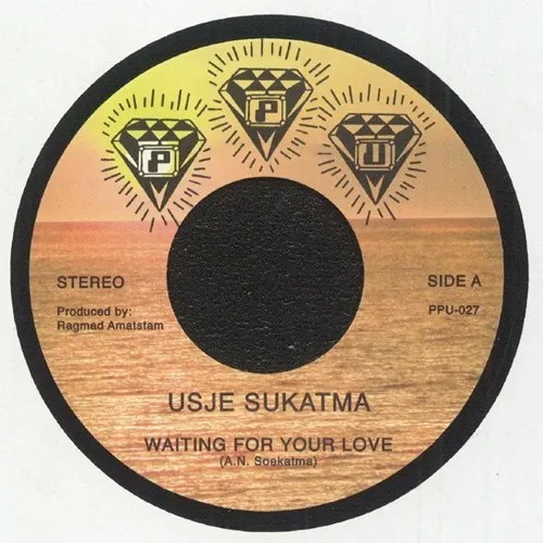 DISCO/80'S｜SOUL / BLUES｜ディスクユニオン・オンラインショップ