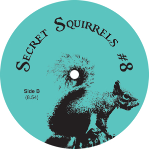 SECRET SQUIRRELS / #8