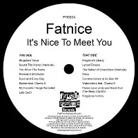 FATNICE / IT'S NICE TO MEET YOU