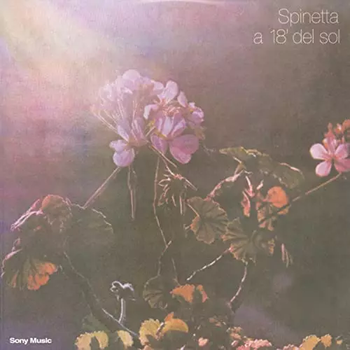 SPINETTA / スピネッタ / A 18'DEL SOL