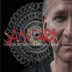 DAVE LIEBMAN (DAVID LIEBMAN) / デイヴ・リーブマン / Samsara