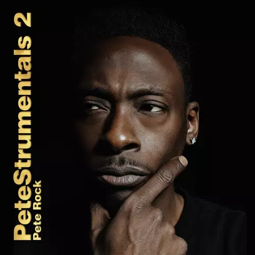 PETESTRUMENTALS 3 