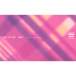 Key of Life / pain[MEG-CD]