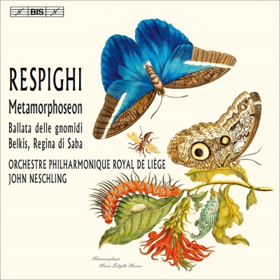 JOHN NESCHLING / ジョン・ネシュリング / RESPIGIHI: BERKIS, REGINA DI SABA / METAMORPHOSEON / ETC