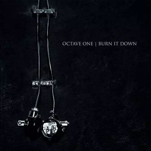 OCTAVE ONE / オクターヴ・ワン / BURN IT DOWN