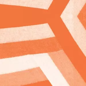 BLAWAN / ブラワン / HANGING OUT THE BIRDS