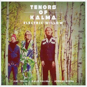 TENORS OF KALMA / Electric Willow
