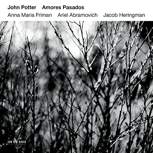 JOHN POTTER / ジョン・ポッター / AMORES PASADOS