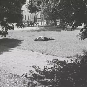 SELF DEFENSE FAMILY / HEAVEN IS EARTH (LP)