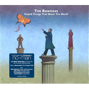 TIM BOWNESS / ティム・ボウネス / STUPID THINGS THAT MEAN THE WORLD: LIMITED EDITION