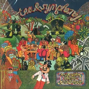 TEA & SYMPHONY / ティー&シンフォニー / AN ASYLUM FOR THE MUSICALLY INSANE: REMASTERED & EXPANDED EDITION - REMASTER