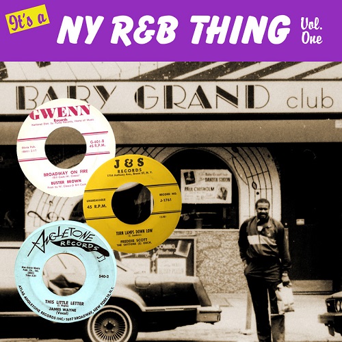V.A. (IT'S A NY R&B THING) / ZEBRA RECORDS PRESENTS: IT'S A NY R&B THING VOL.1 (CD-R)
