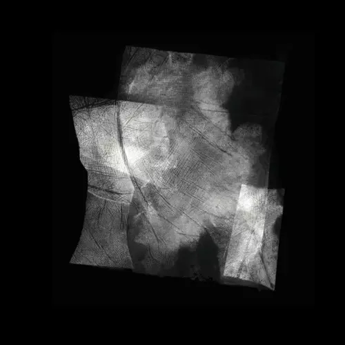 JACEK SIENKIEWICZ / INSTYNKT
